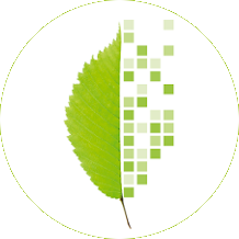 Logo with pixeled green leaf.
